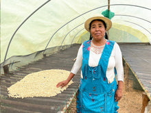 画像をギャラリービューアに読み込む, 【New Coffee】Peru Marcelina Peralta Bourbon Washed