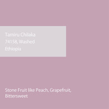 画像をギャラリービューアに読み込む, 【New Coffee】Ethiopia Tamiru Chilaka Washed