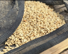 画像をギャラリービューアに読み込む, 【New Coffee】Ethiopia Tamiru Chilaka Washed