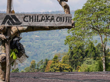 画像をギャラリービューアに読み込む, 【New Coffee】Ethiopia Tamiru Chilaka Washed