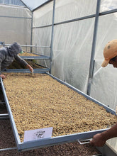 画像をギャラリービューアに読み込む, Costa Rica Hermanos Valso White Honey