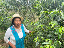 画像をギャラリービューアに読み込む, 【New Coffee】Peru Marcelina Peralta Bourbon Washed
