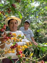 画像をギャラリービューアに読み込む, 【New Coffee】Peru Marcelina Peralta Bourbon Washed
