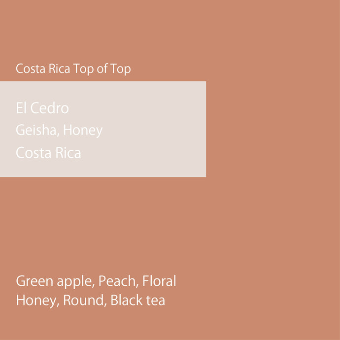 【New Top Lot Geisha】Costa Rica El Cedro Geisha Honey