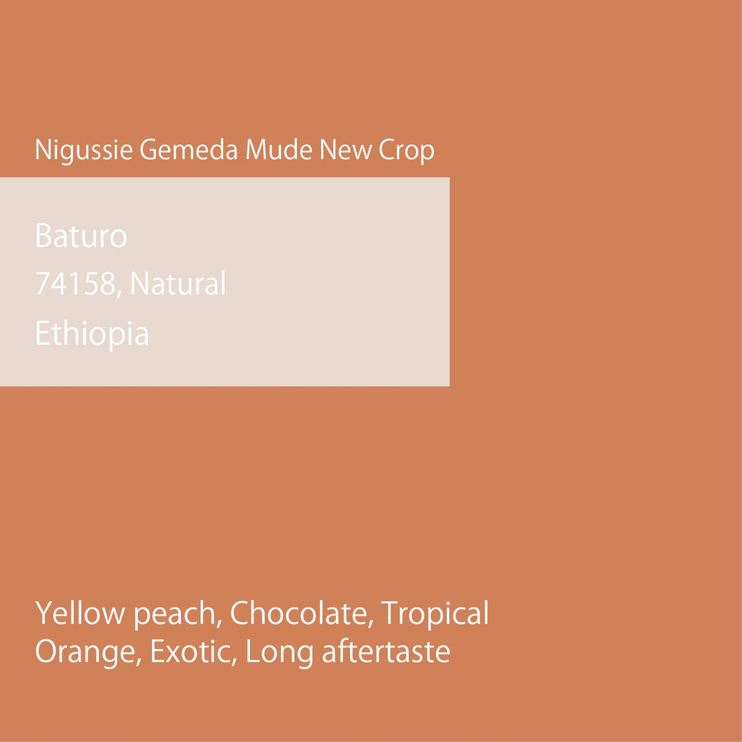 【Niguse Gemeda New Crop】Ethiopia Baturo Natural 2024/2025