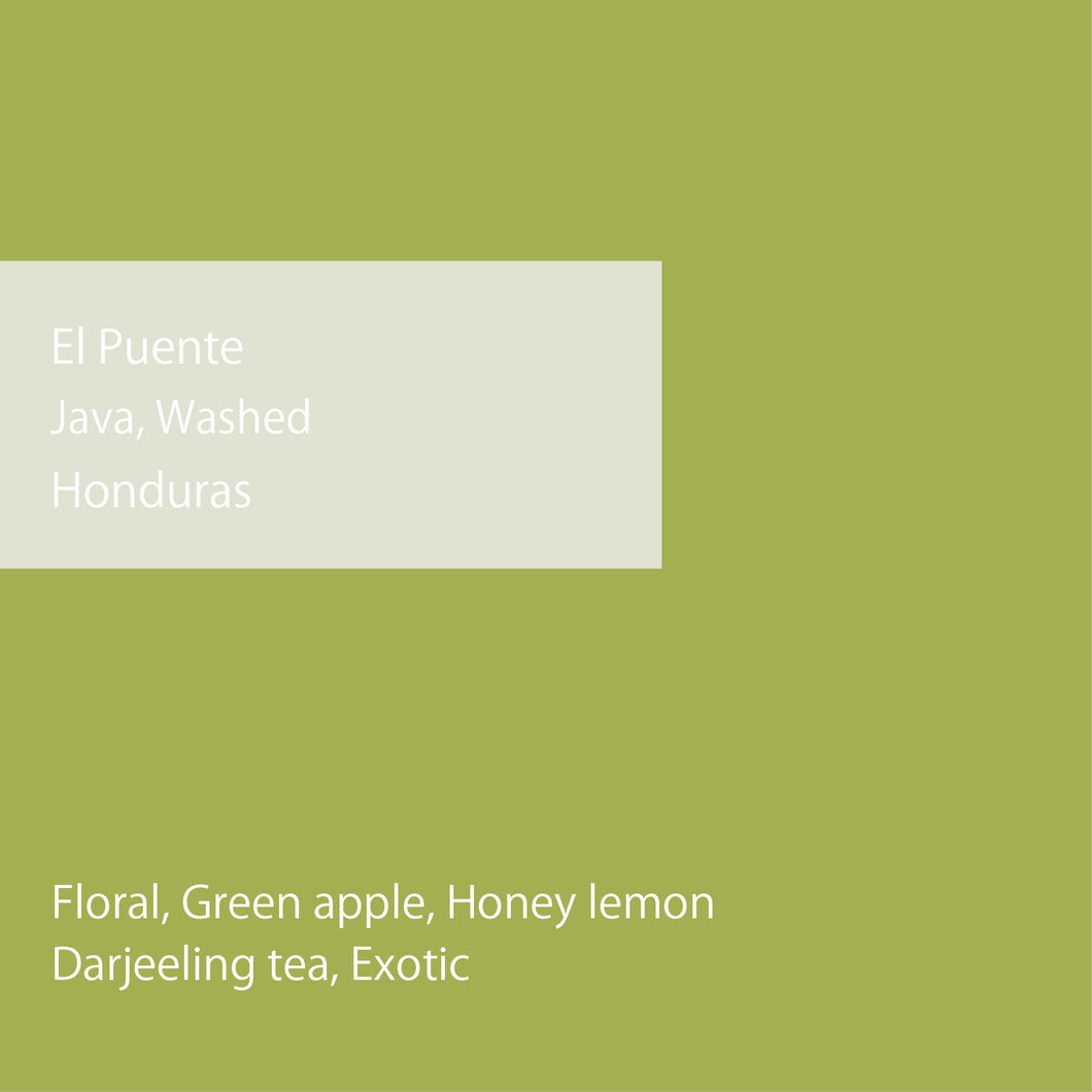 Honduras El Puente Java Washed 2025