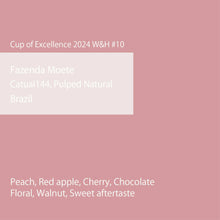 画像をギャラリービューアに読み込む, 【Cup of Excellence】Brazil Fazenda Moete Catuai144 Pulped Natural COE2024 W&amp;H #10
