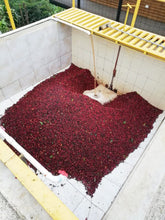 画像をギャラリービューアに読み込む, Costa Rica Hermanos Valso White Honey
